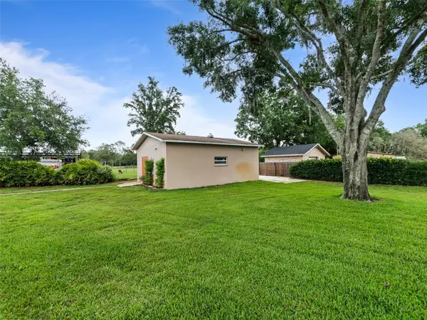 Odessa, FL 33556,10502 LAKE WILLIAMS DR