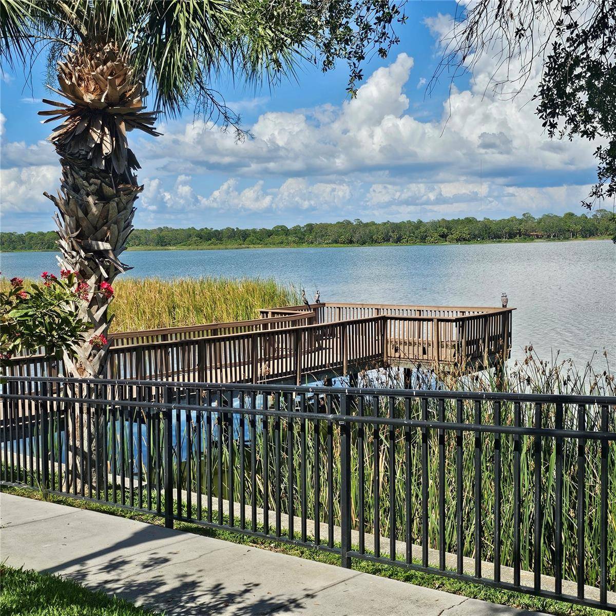 Seminole, FL 33772,7905 SEMINOLE BLVD #3204