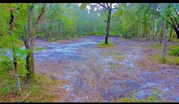 Thonotosassa, FL 33592,BROKEN ARROW DR