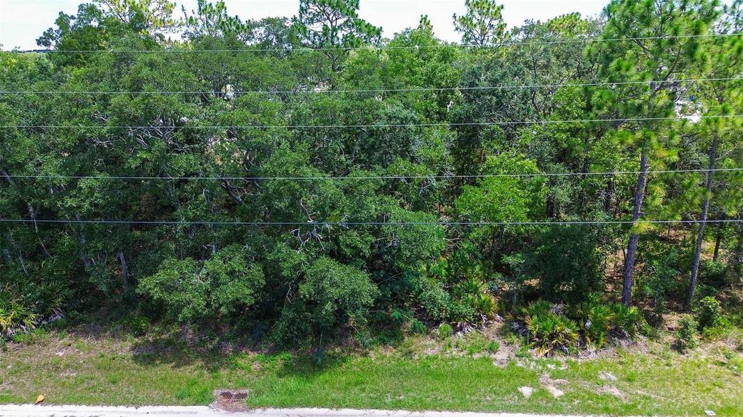 6927 W MERRIVALE LN, Homosassa, FL 34446