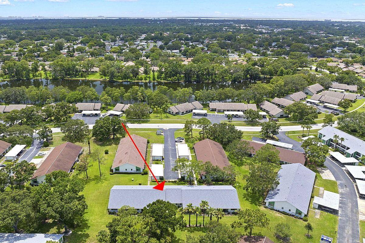 Clearwater, FL 33763,2557 LAURELWOOD DR #10D