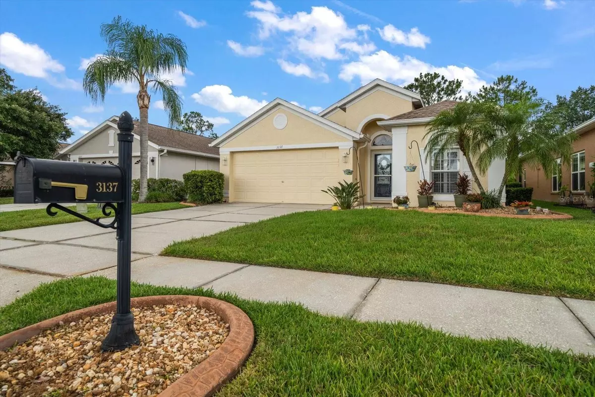 Land O Lakes, FL 34639,3137 BANYAN HILL LN