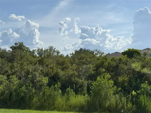 Wesley Chapel, FL 33543,2113 WARREN ACRES BLVD