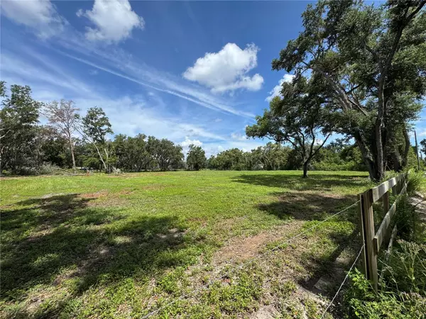 Zephyrhills, FL 33540,6845 LUMBERTON RD