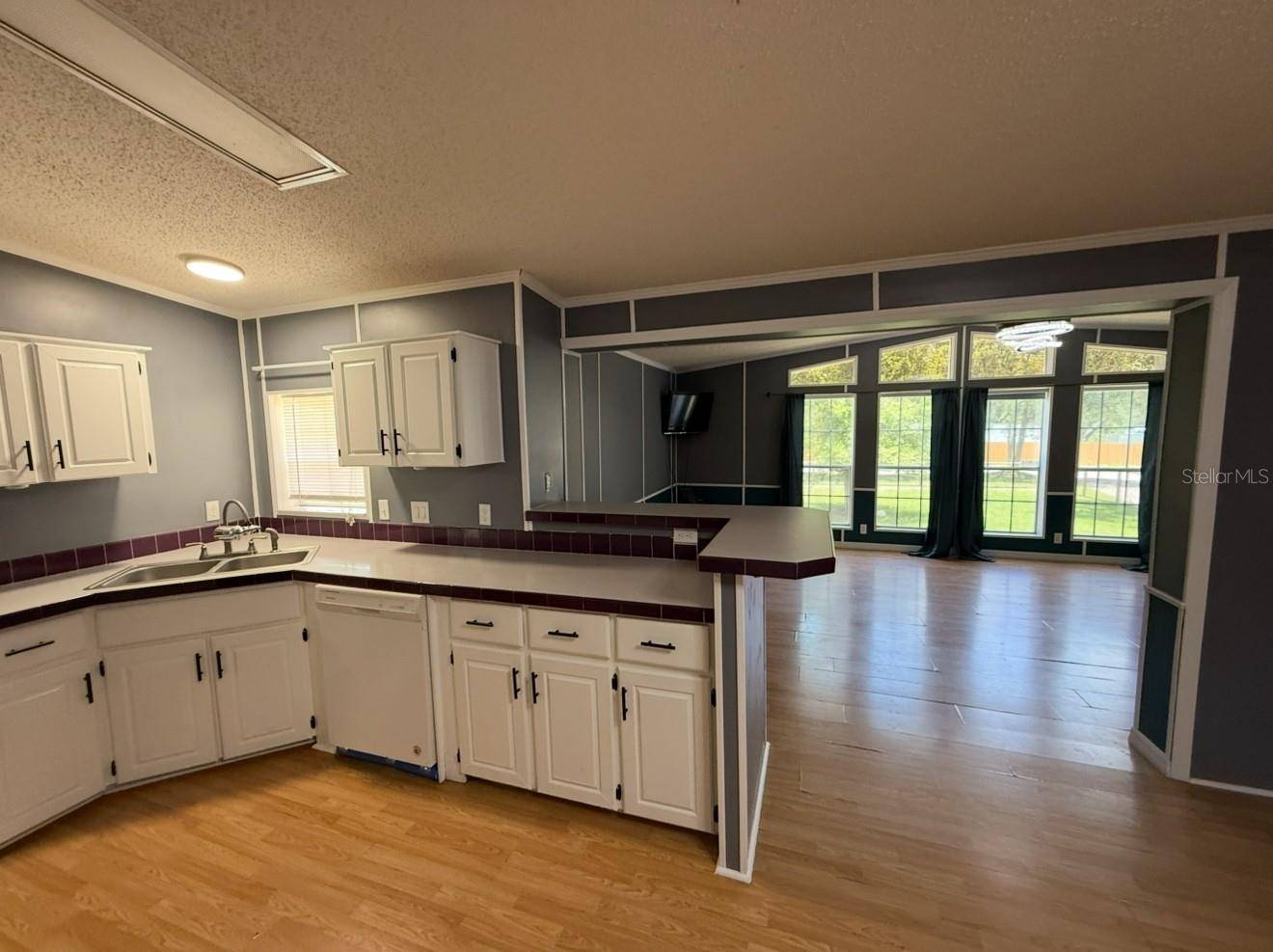 Riverview, FL 33578,11513 BRANCATO LN