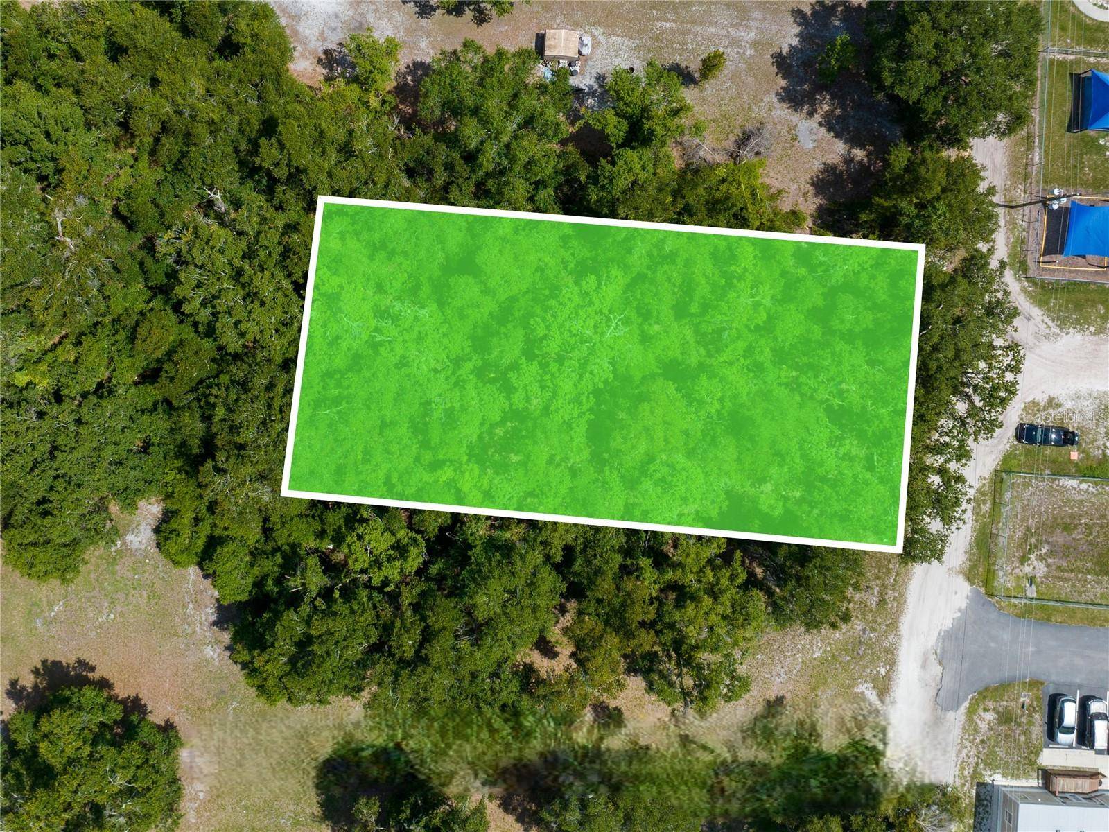 Bowling Green, FL 33834,TANGERINE ST