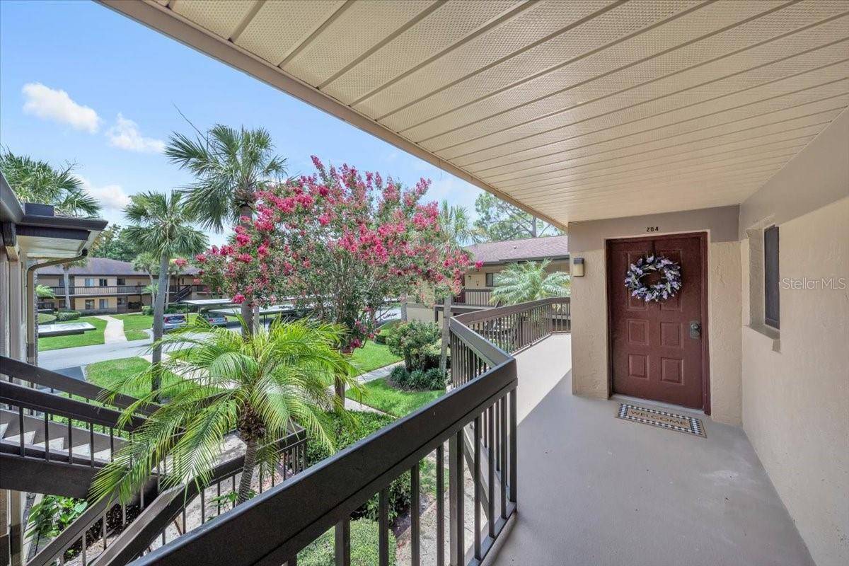 2681 SABAL SPRINGS CIR #204, Clearwater, FL 33761