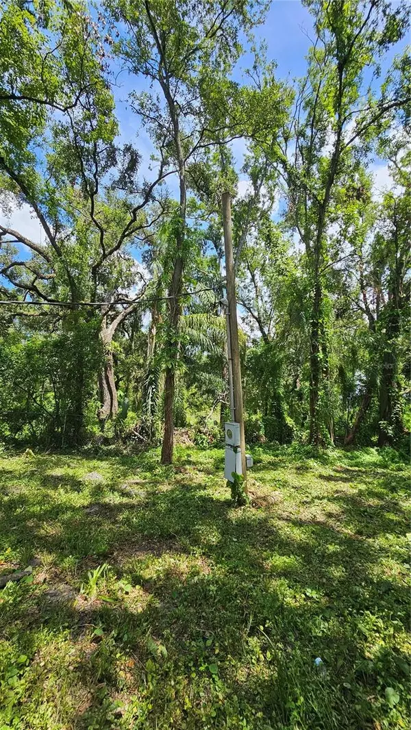 Tampa, FL 33619,6215 EUGENE ST