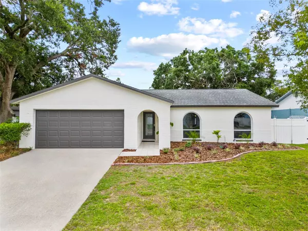 6204 WALSH LN,  Tampa,  FL 33625