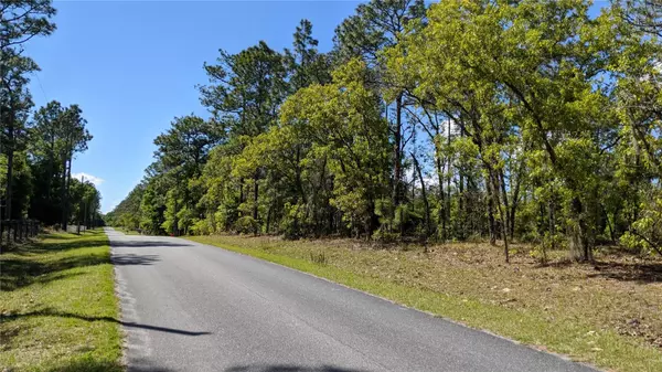 Dunnellon, FL 34432,0 SW 97TH PL