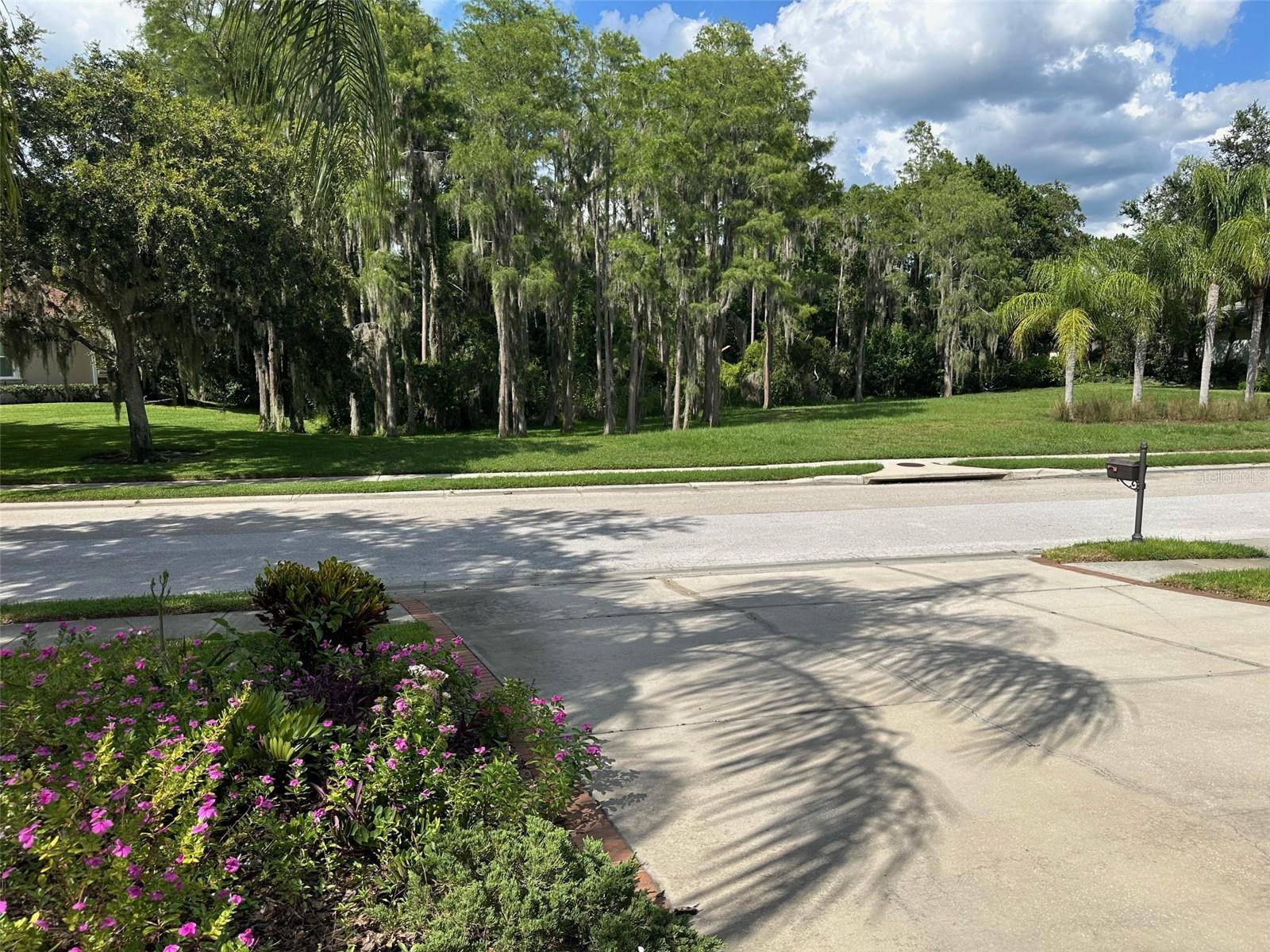 Trinity, FL 34655,1353 EL PARDO DR