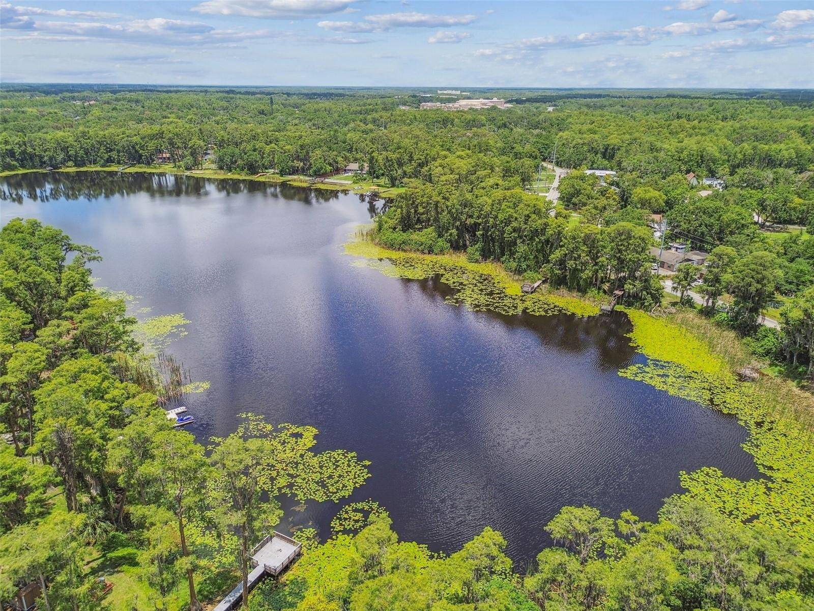 Lutz, FL 33548,17906 LORETTA LN