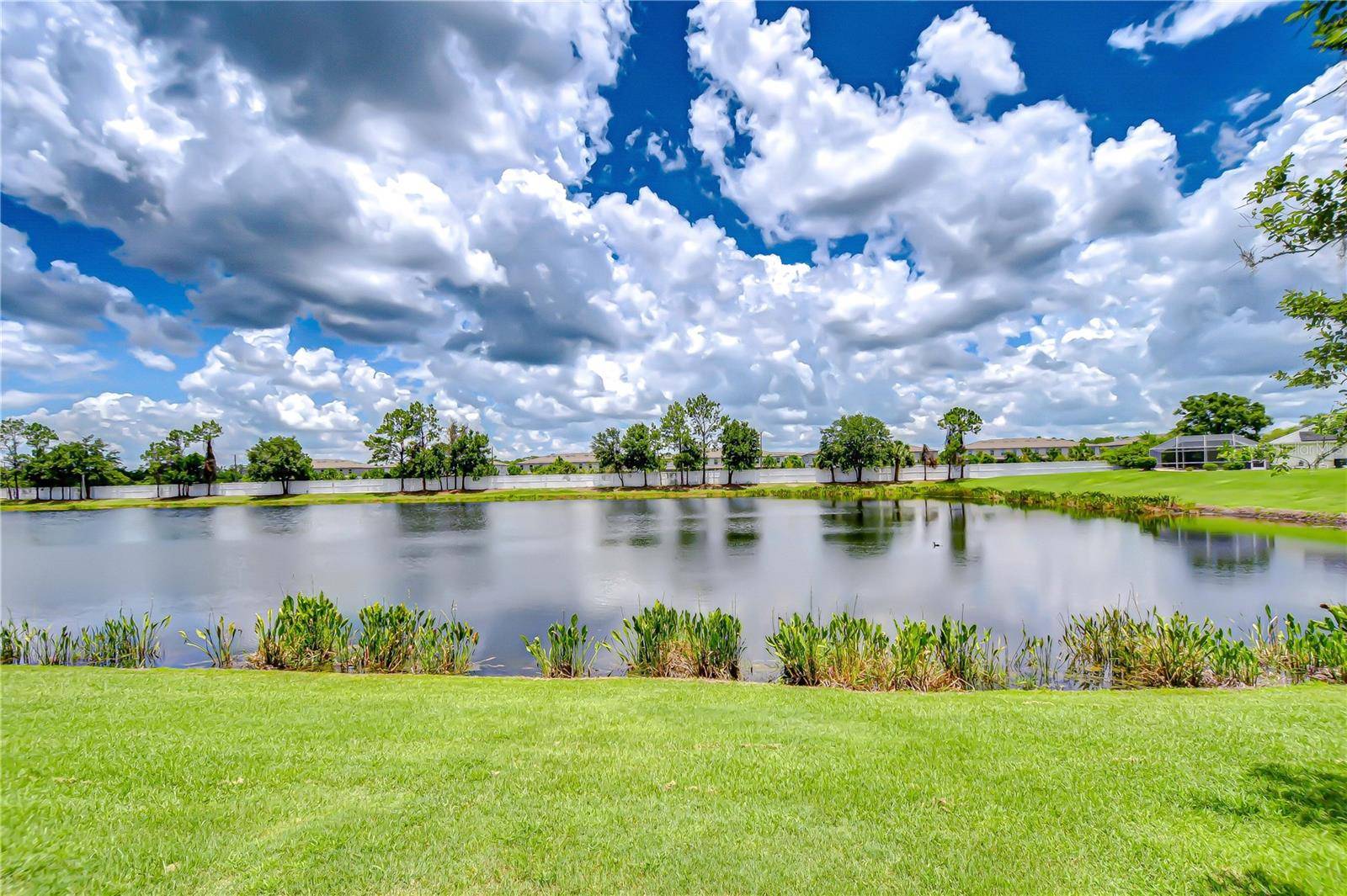 Sun City Center, FL 33573,2226 N CREEK CT
