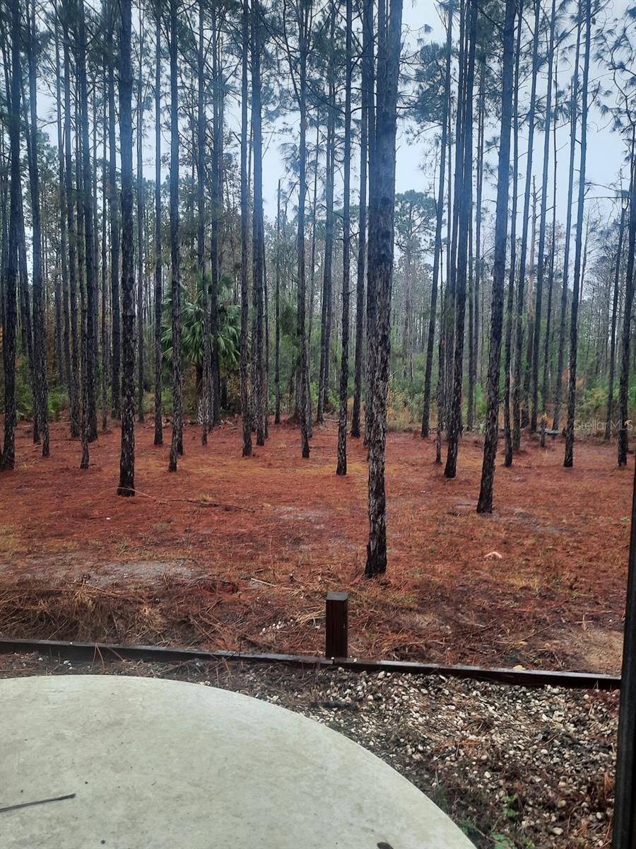 Steinhatchee, FL 32359,540 SW 326TH AVE
