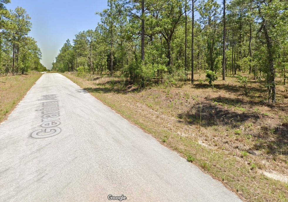 Dunnellon, FL 34431,454605 NW GERANIUM AVE