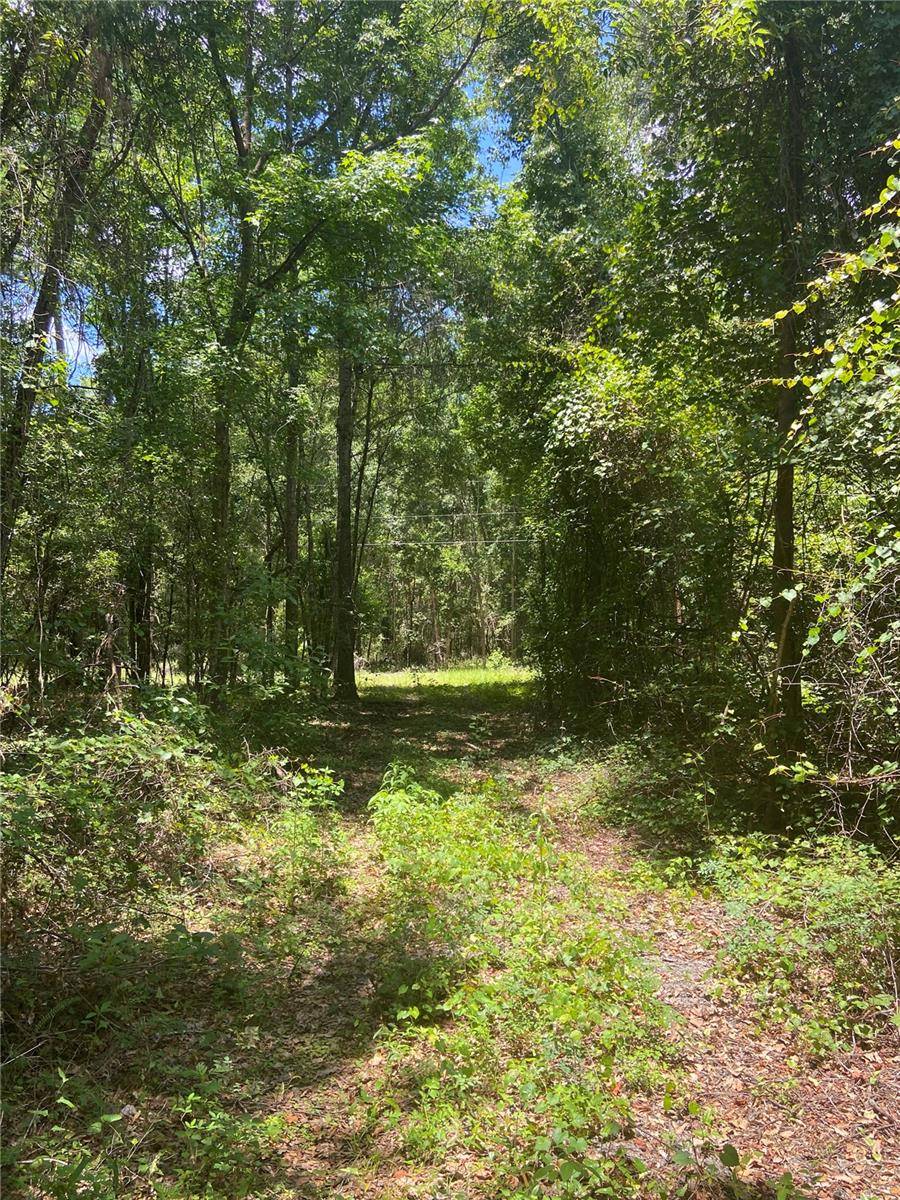 Williston, FL 32696,NE 166TH AVE