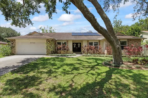 6706 DUNES LN, Temple Terrace, FL 33617