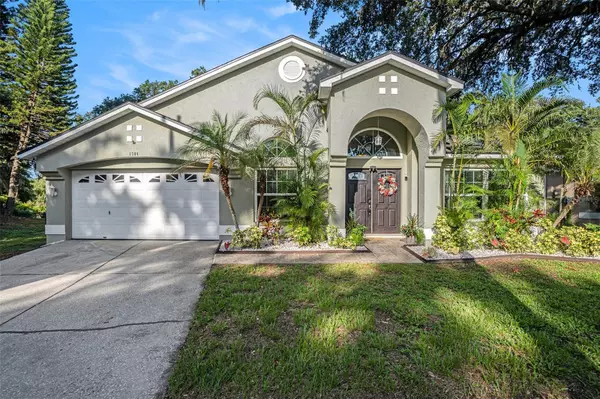 1304 GANGPLANK DR, Valrico, FL 33594