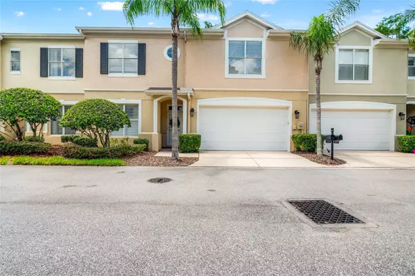 3519 HEARDS FERRY DR, Tampa, FL 33618