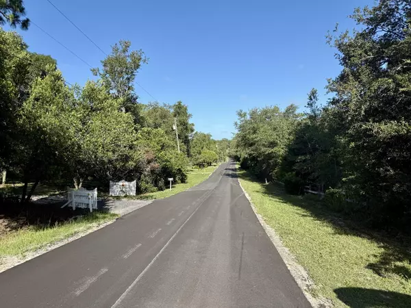 Inverness, FL 34452,3197 E SQUIRREL CT