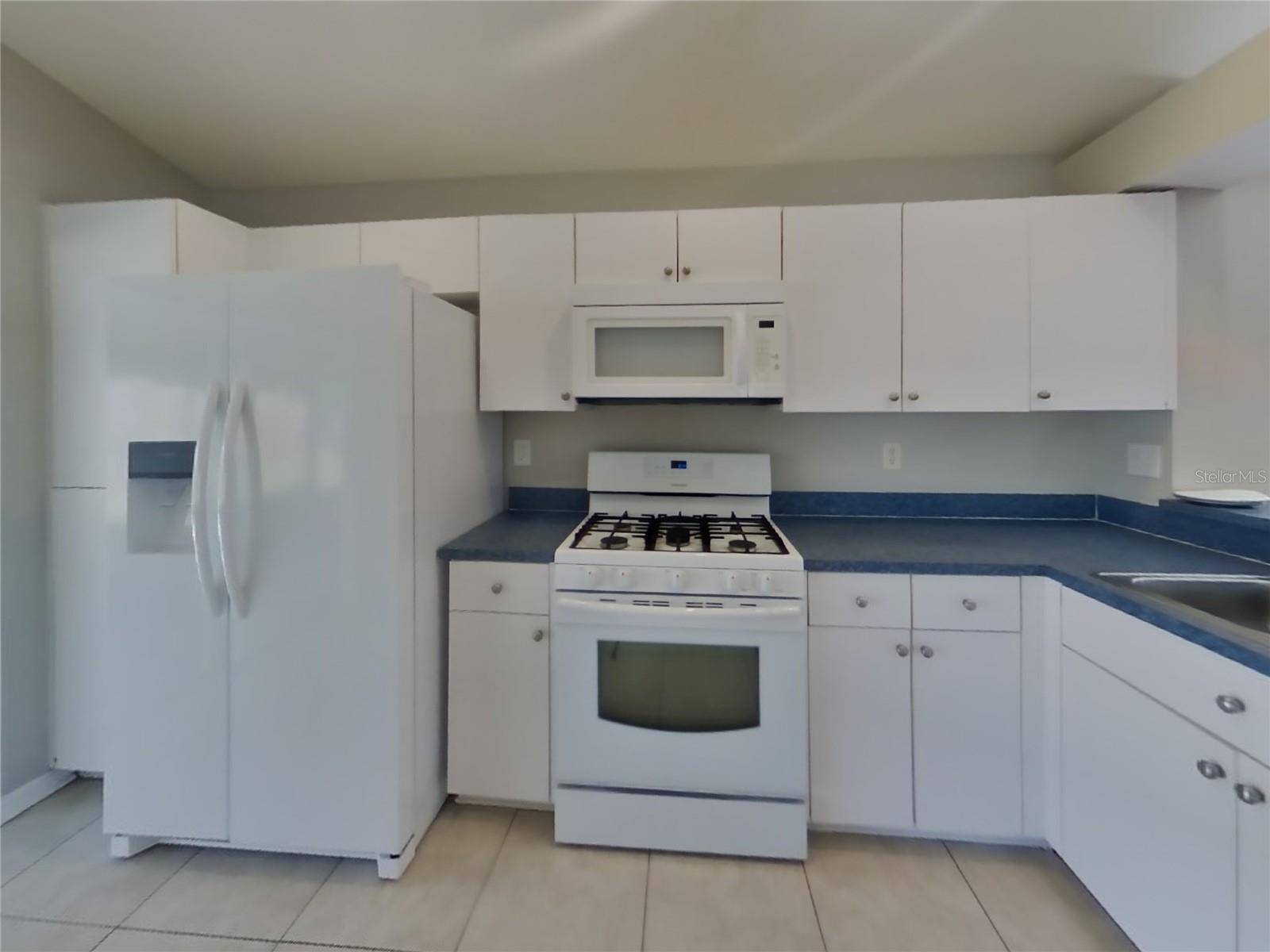 Lutz, FL 33559,24633 LAUREL RIDGE DR
