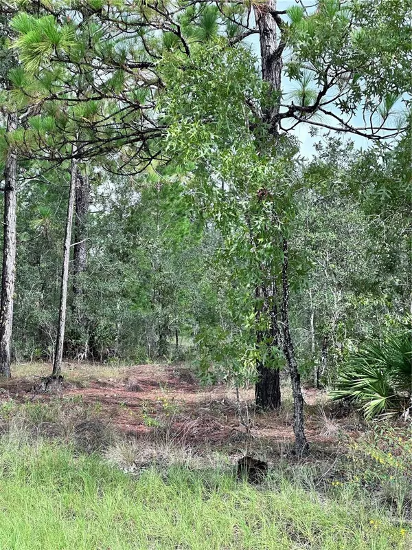 Weeki Wachee, FL 34614,SCAUP DUCK AVE
