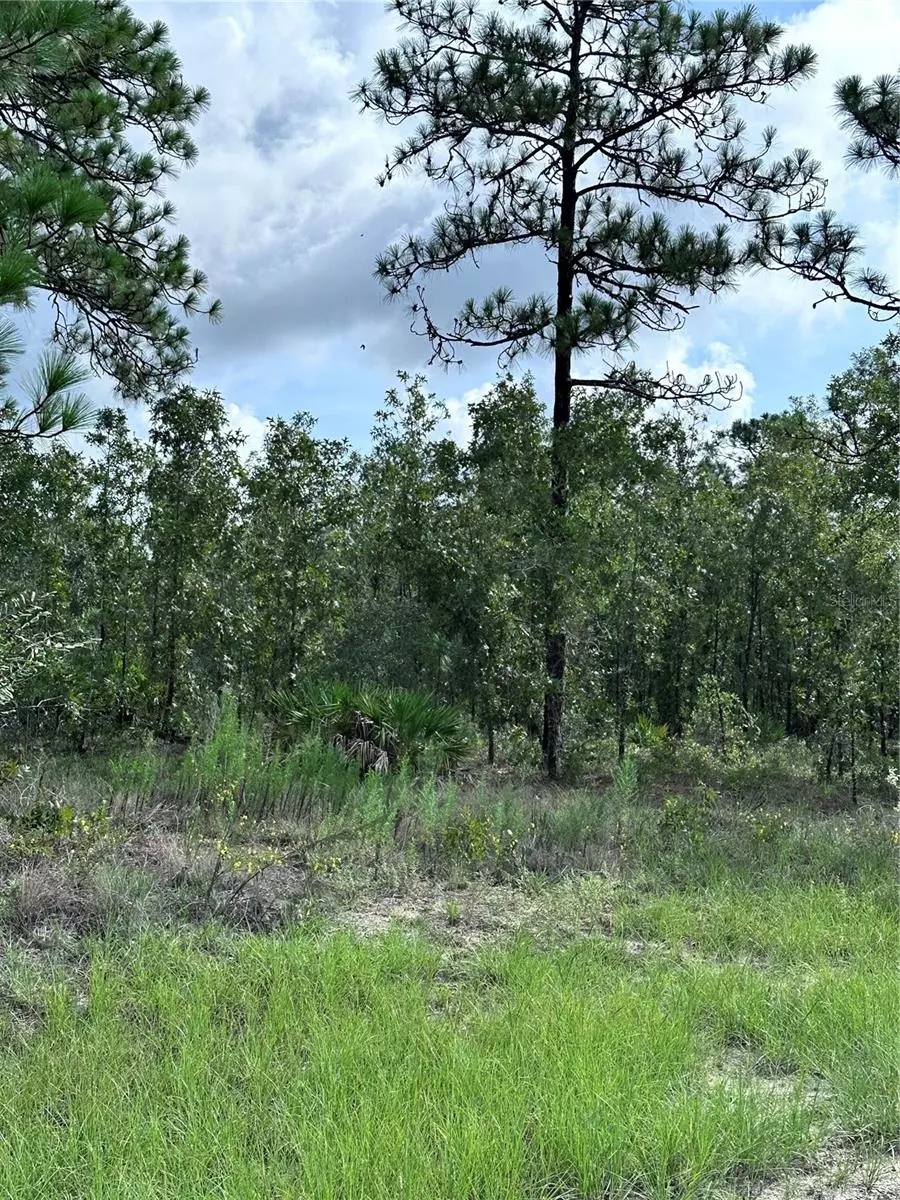 Weeki Wachee, FL 34614,SCAUP DUCK AVE