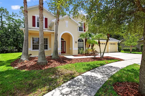 Tampa, FL 33647,16102 COLCHESTER PALMS DR