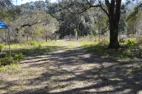 Spring Hill, FL 34610,00 UNNAMED