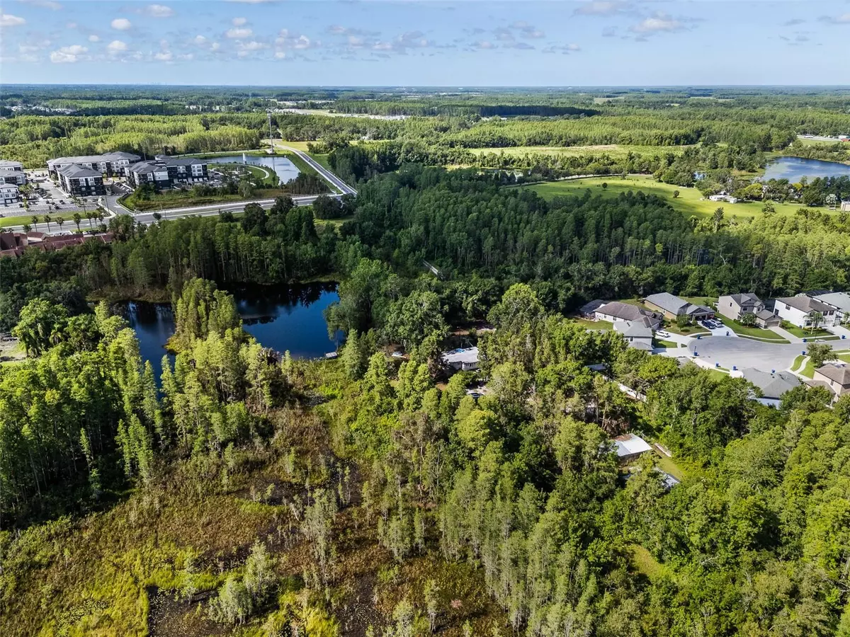 Land O Lakes, FL 34638,20007 BETEL PALM LN