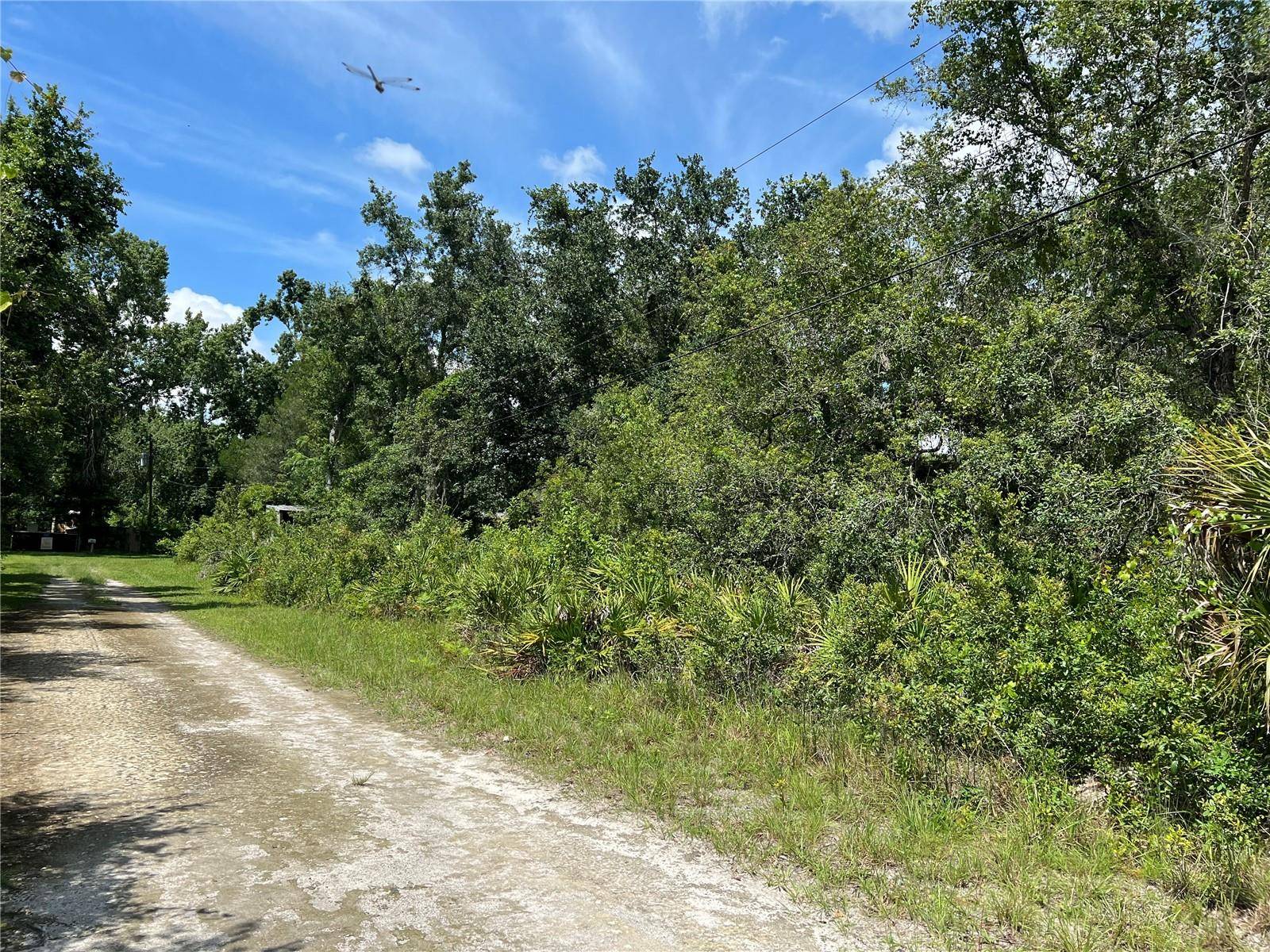 New Port Richey, FL 34654,10232 FIELD ST