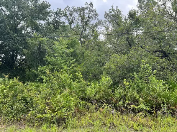New Port Richey, FL 34654,10232 FIELD ST