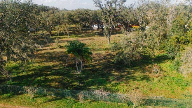 AVONWOOD ST, Tampa, FL 33625