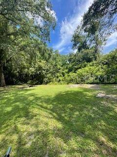 Odessa, FL 33556,14935 OGDEN LOOP