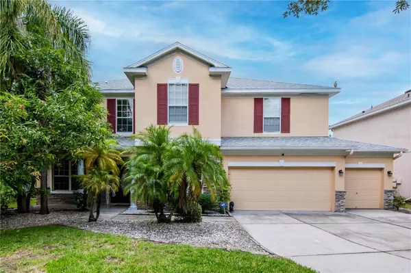 16115 COLCHESTER PALMS DR, Tampa, FL 33647