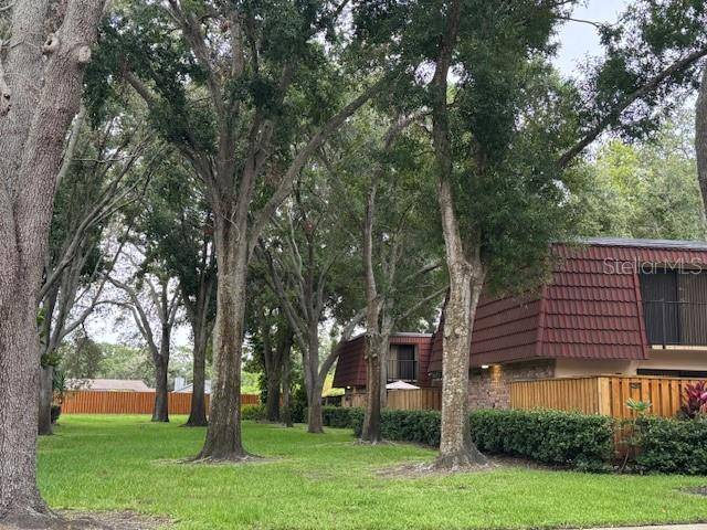 Palm Harbor, FL 34684,2716 11TH CT
