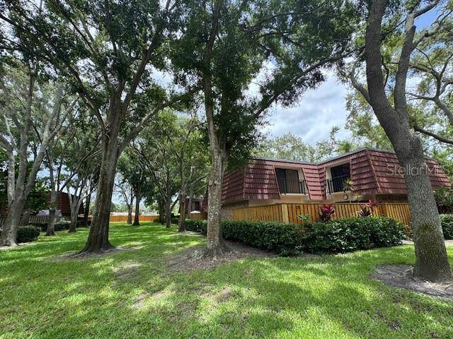 Palm Harbor, FL 34684,2716 11TH CT