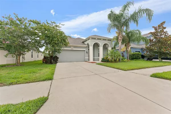 Riverview, FL 33579,13334 PALMERA VISTA DR