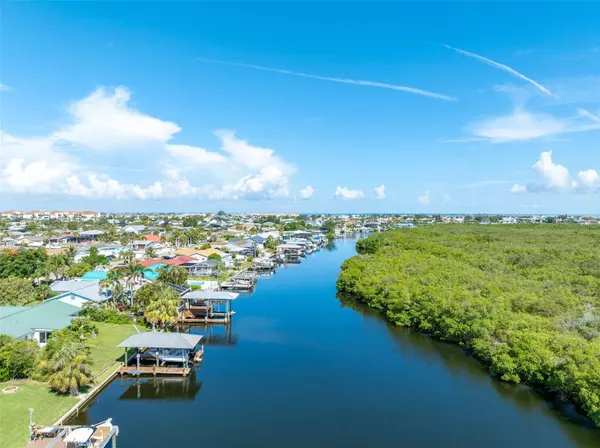 Apollo Beach, FL 33572,909 SILVER PALM WAY