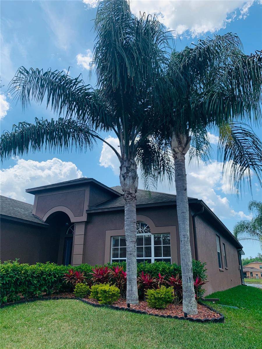 Trinity, FL 34655,1245 HALAPA WAY