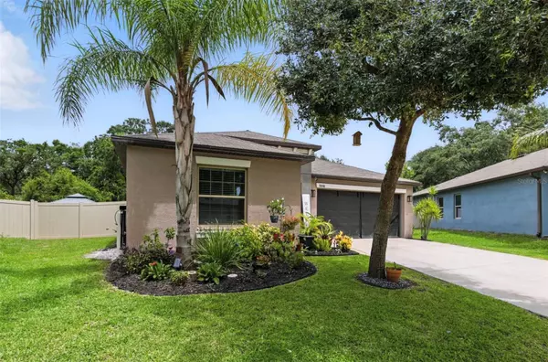Riverview, FL 33578,10040 CARAWAY SPICE AVE