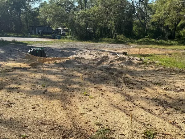 Dade City, FL 33523,3310 TREIMAN BLVD