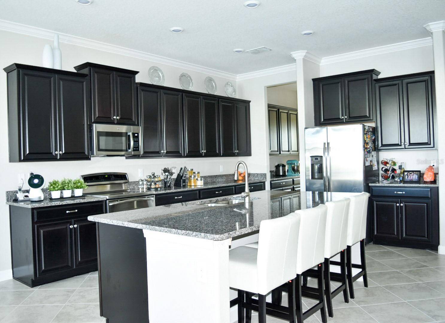 Riverview, FL 33579,13520 WHITE SAPPHIRE RD