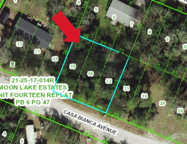 12905 CASA BIANCA AVE, New Port Richey, FL 34654