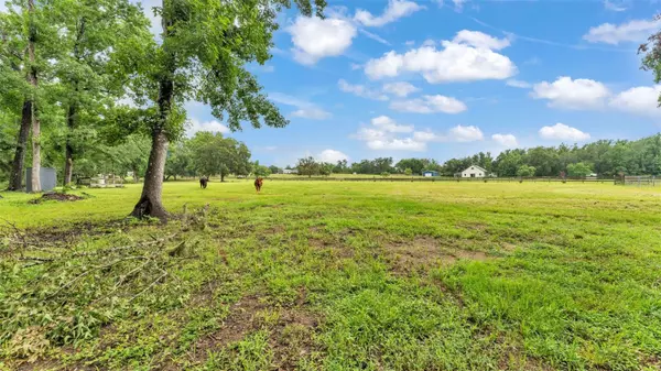 Dade City, FL 33525,32291 RUSTY CREEK TRL