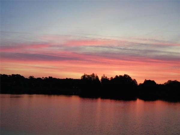17017 PAULA LN, Lutz, FL 33558