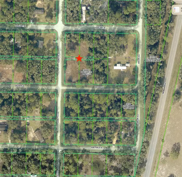 0 GOOLSBY ST, Webster, FL 33597