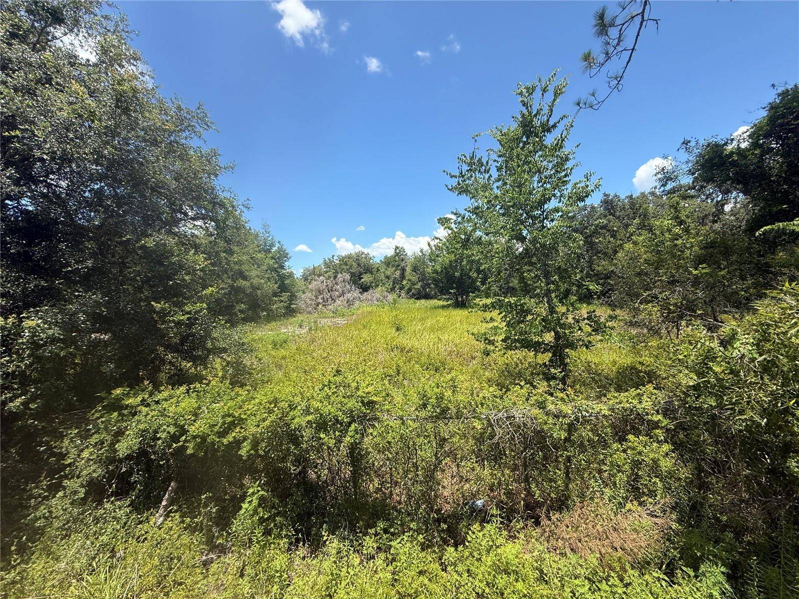 Webster, FL 33597,0 GOOLSBY ST
