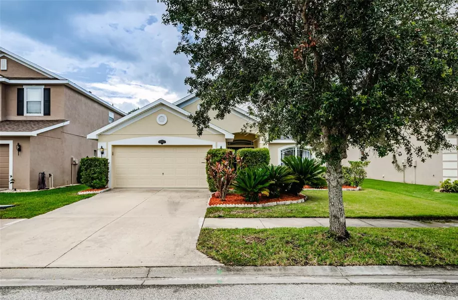 20229 NATURES SPIRIT DR, Tampa, FL 33647