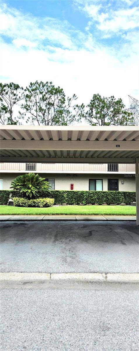Oldsmar, FL 34677,213 MARY DR